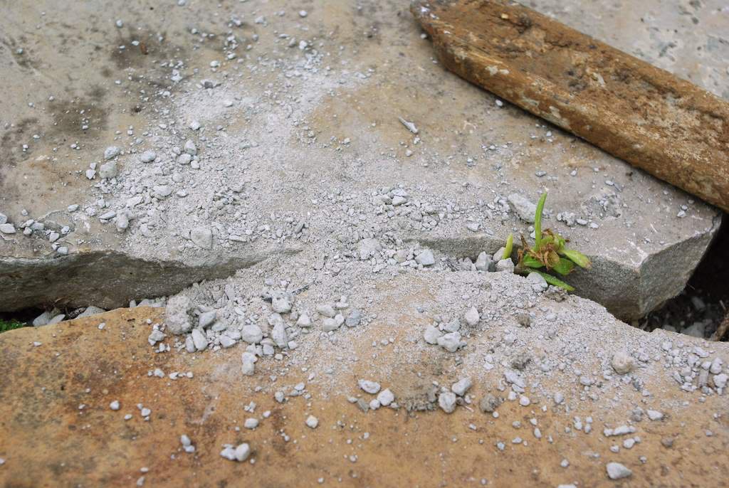 It's Not Work, It's Gardening! Filling flagstone patio cracks